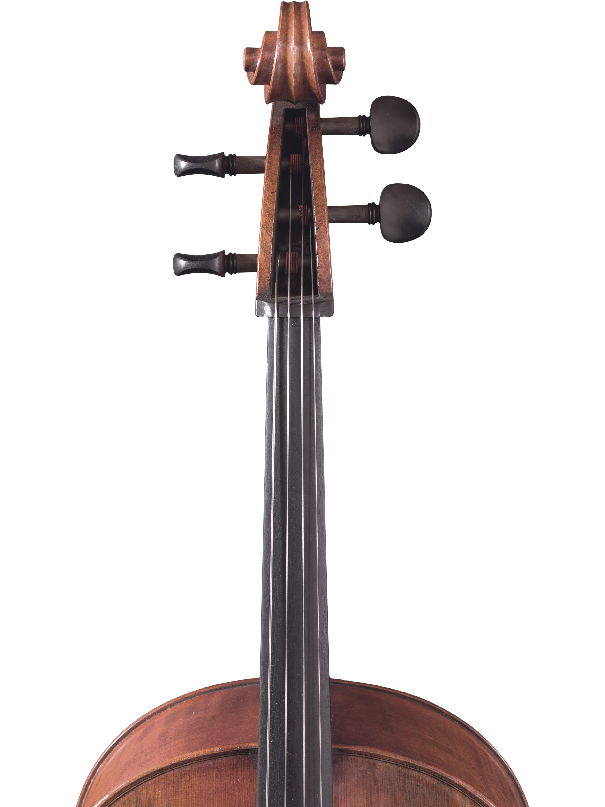 Master Xu Cello — Maple Leaf Strings